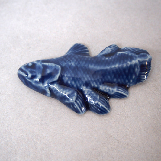 5 シーラカンスはし置 | 福島晋平