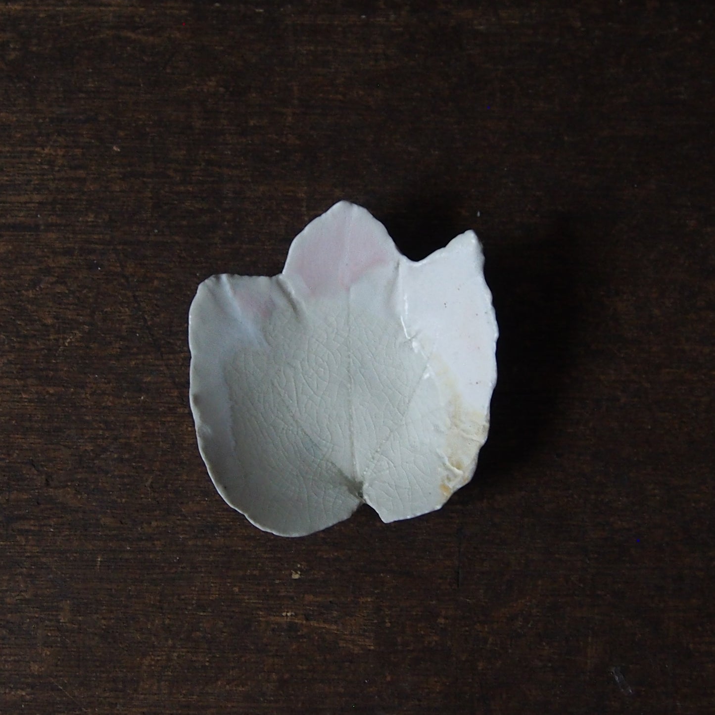 8-5 leaf 豆皿(S) | 紫蓮