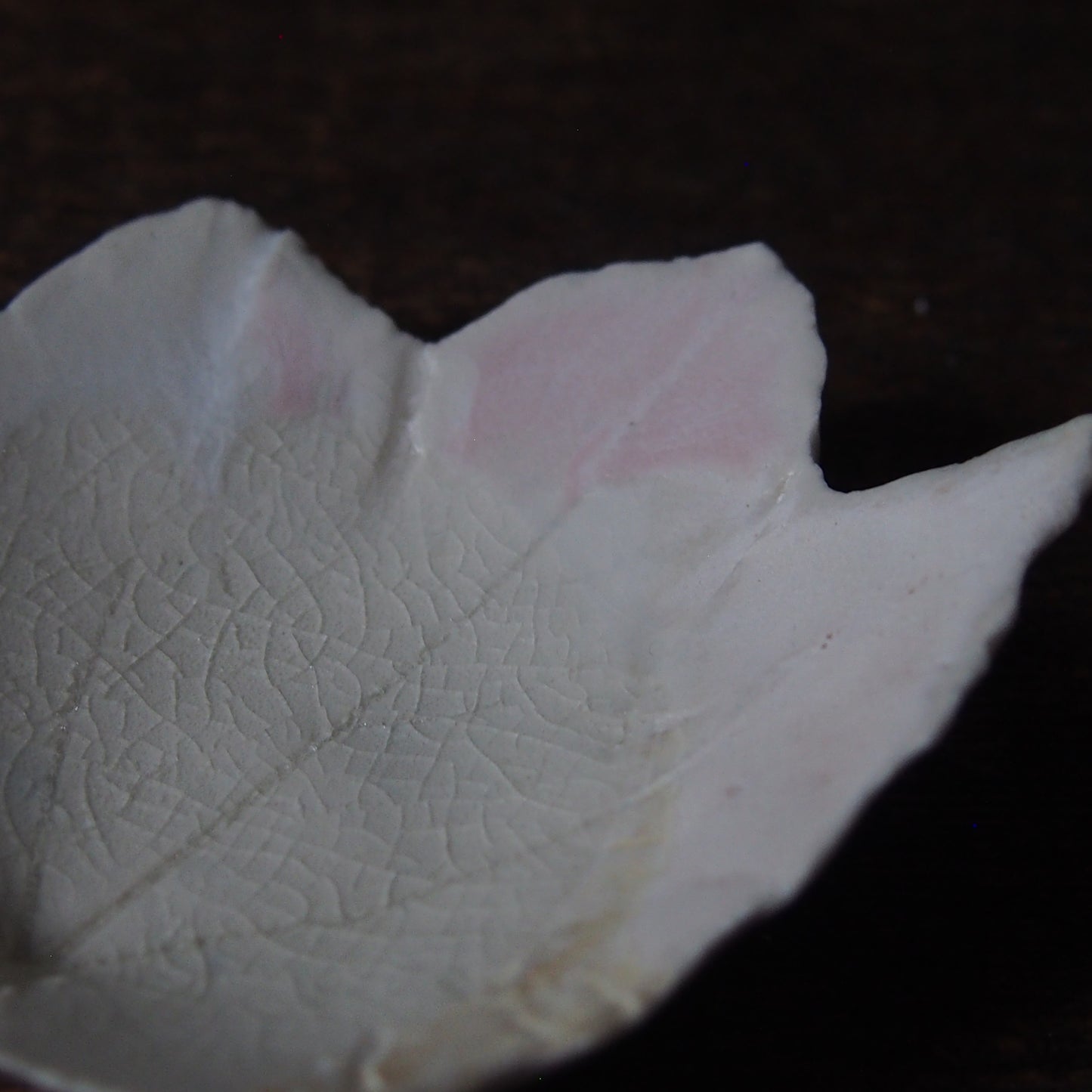 8-5 leaf 豆皿(S) | 紫蓮