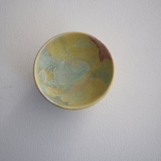 10 盃 DREAM |多田佳豫