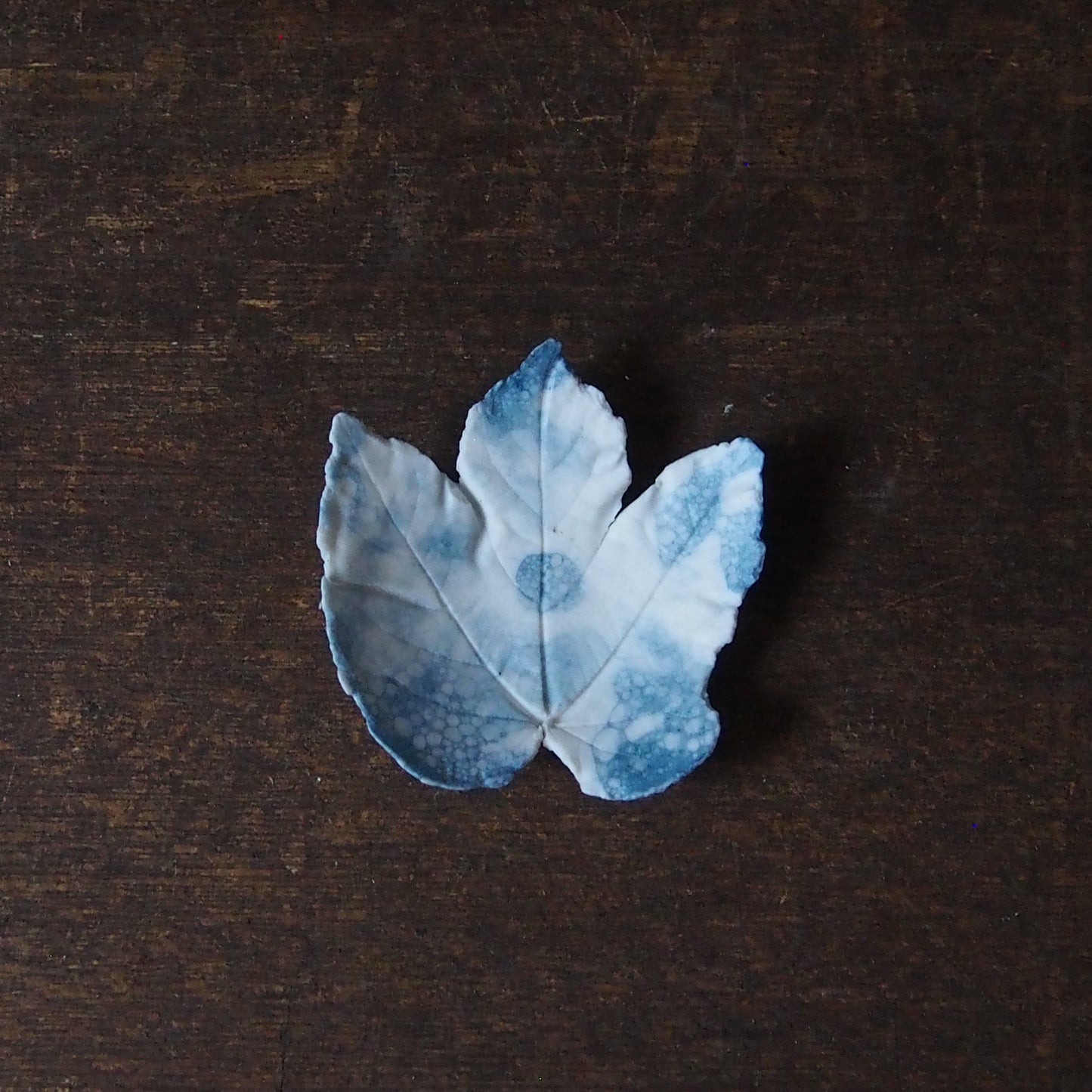 15-1泡沫 leaf豆皿(透過性) | 紫蓮