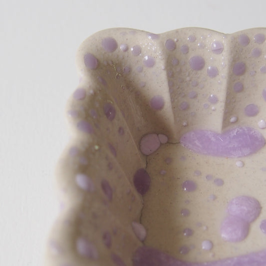 51-5 ガーベラ四角豆鉢 | 梅本勇