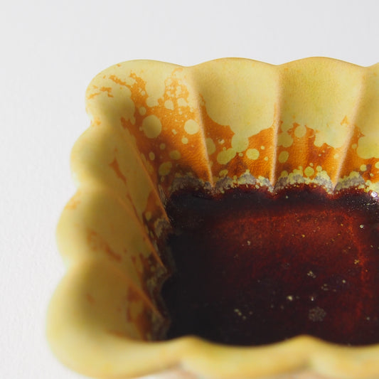 51-1 ガーベラ四角豆鉢 | 梅本勇