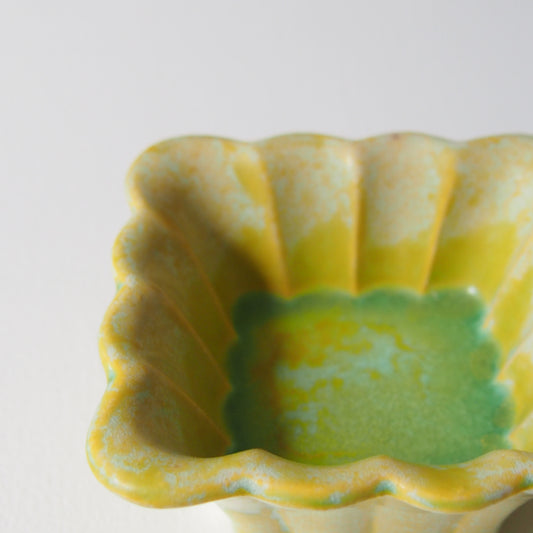 51-4 ガーベラ四角豆鉢 | 梅本勇