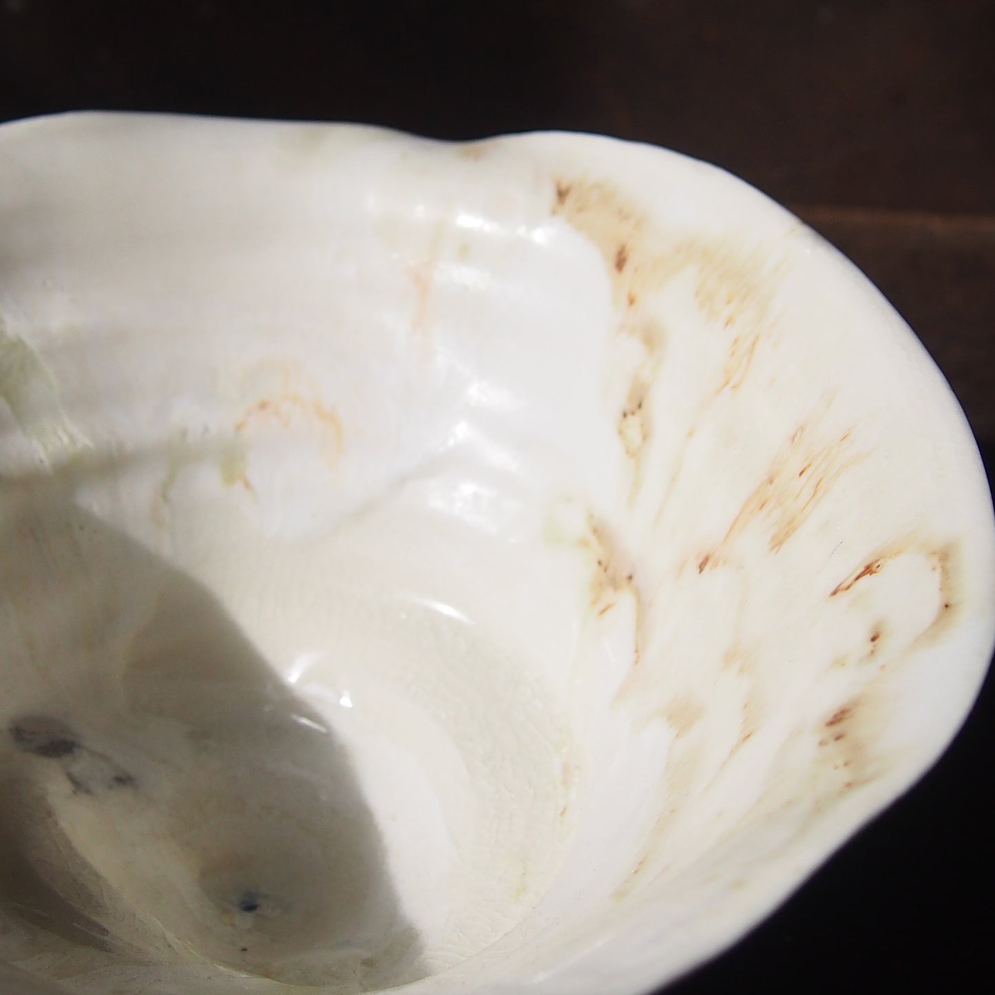62 bowl(銀彩/漆) | 紫蓮