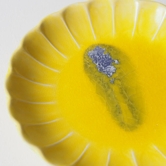 37-6 5寸ガーベラ皿 | 梅本勇