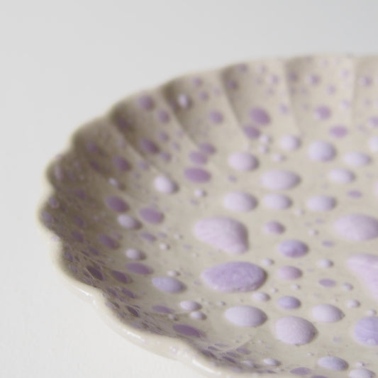 37-8 5寸ガーベラ皿 | 梅本勇