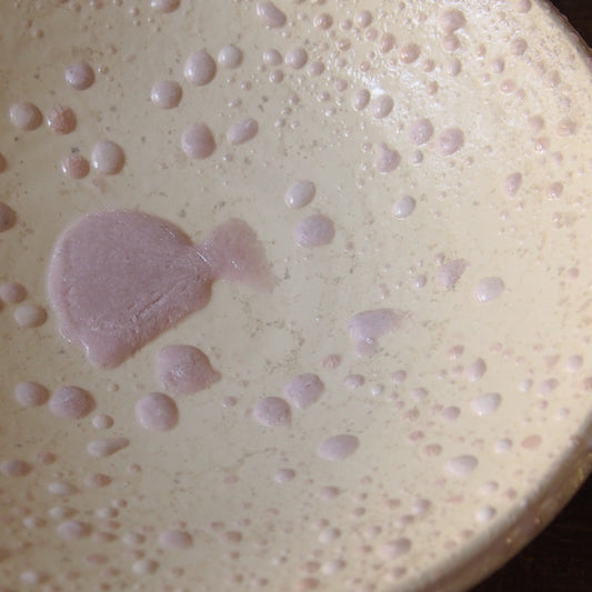 1-5 7.5寸平鉢 | 梅本勇