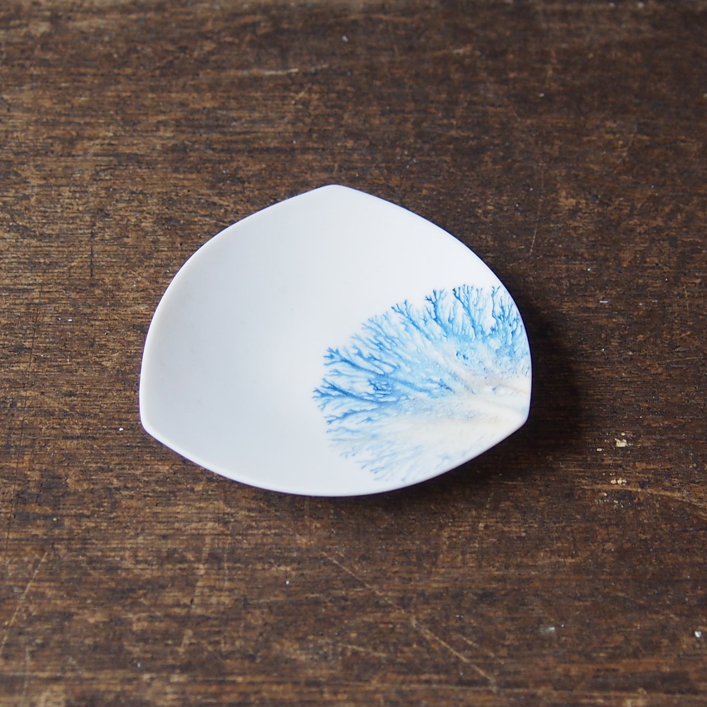 moca tray(△) 1