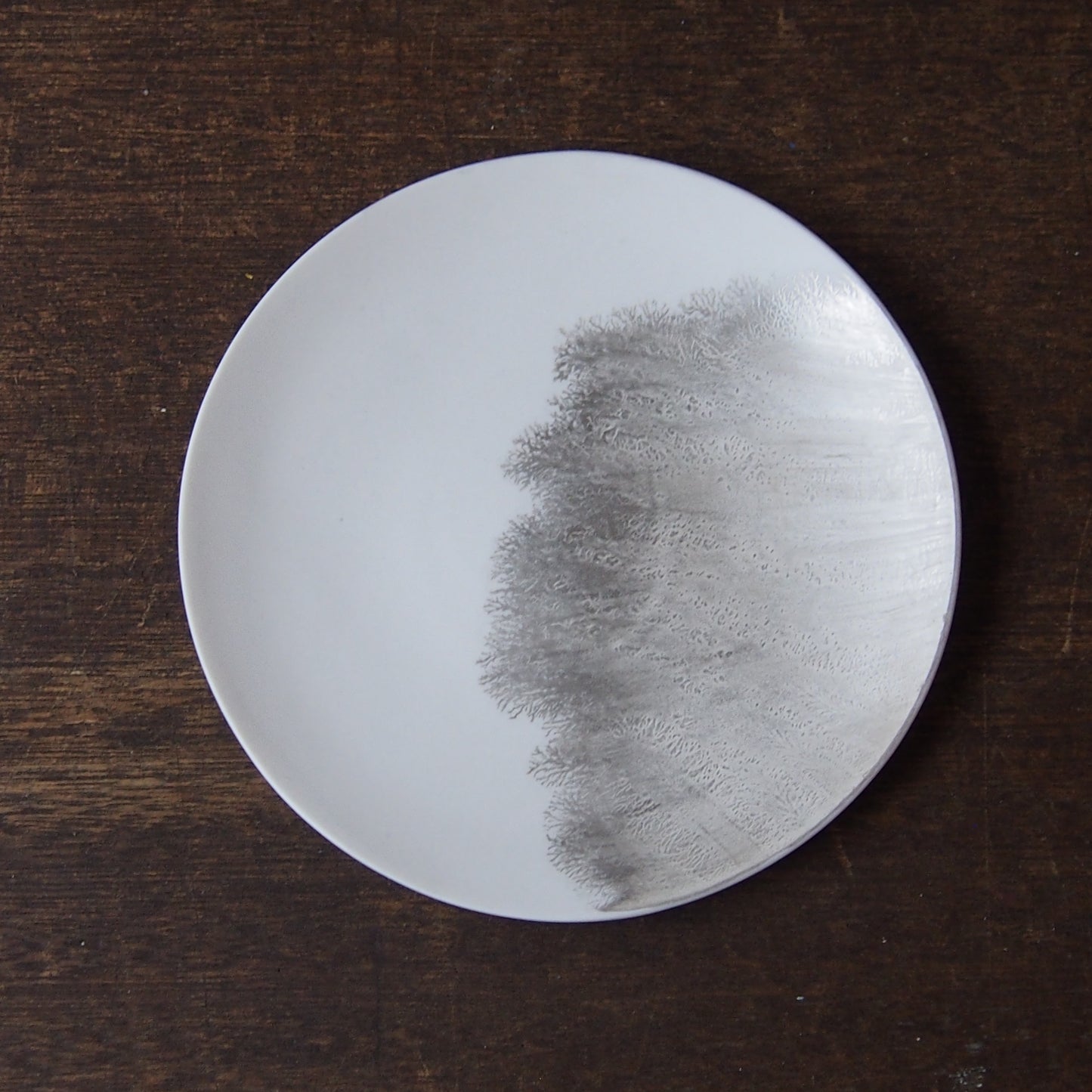 silver frost plate(M) 1