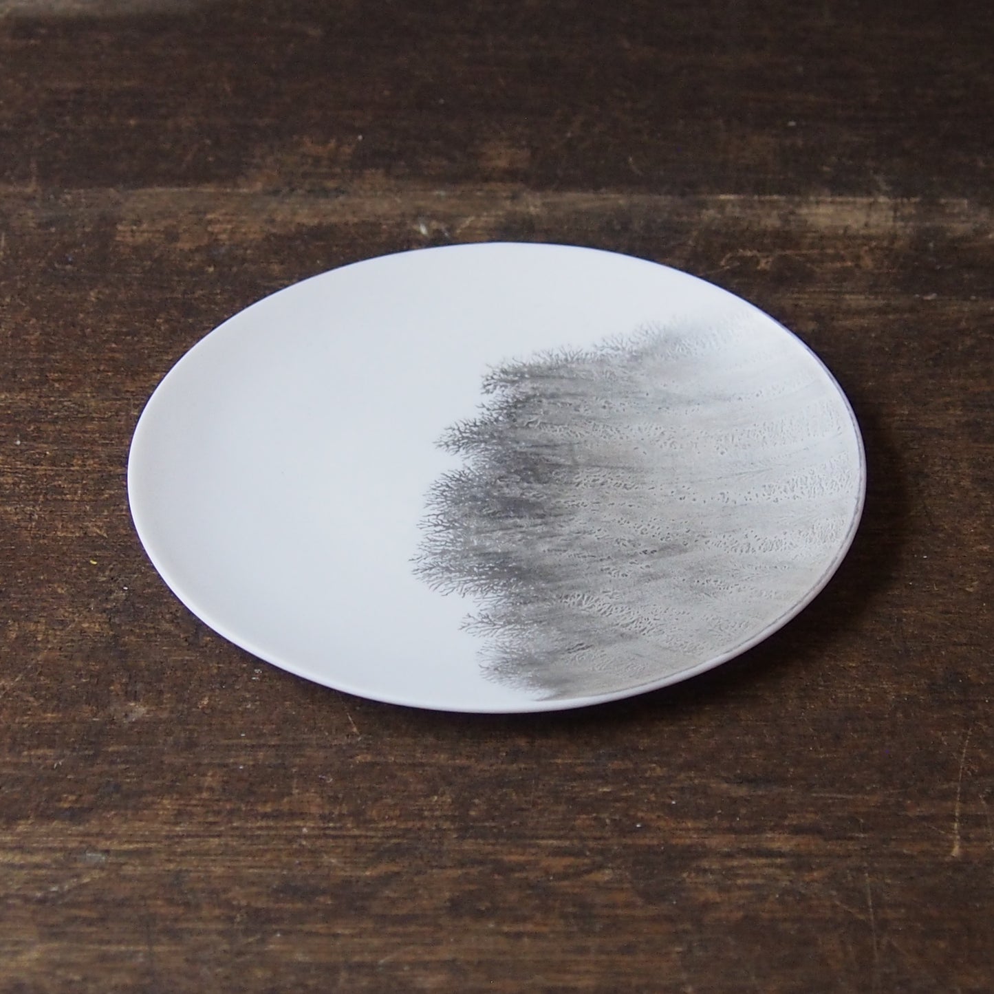 silver frost plate(M) 1
