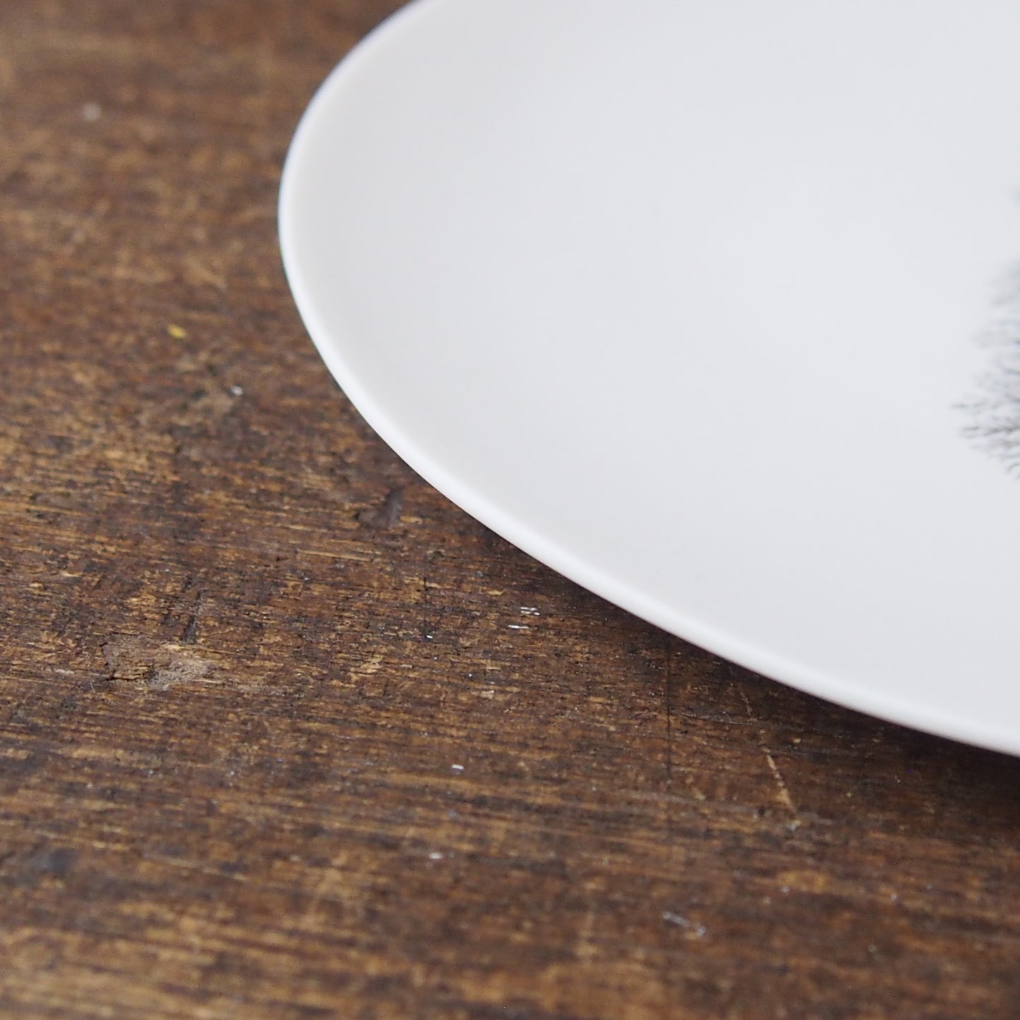 silver frost plate(M) 1