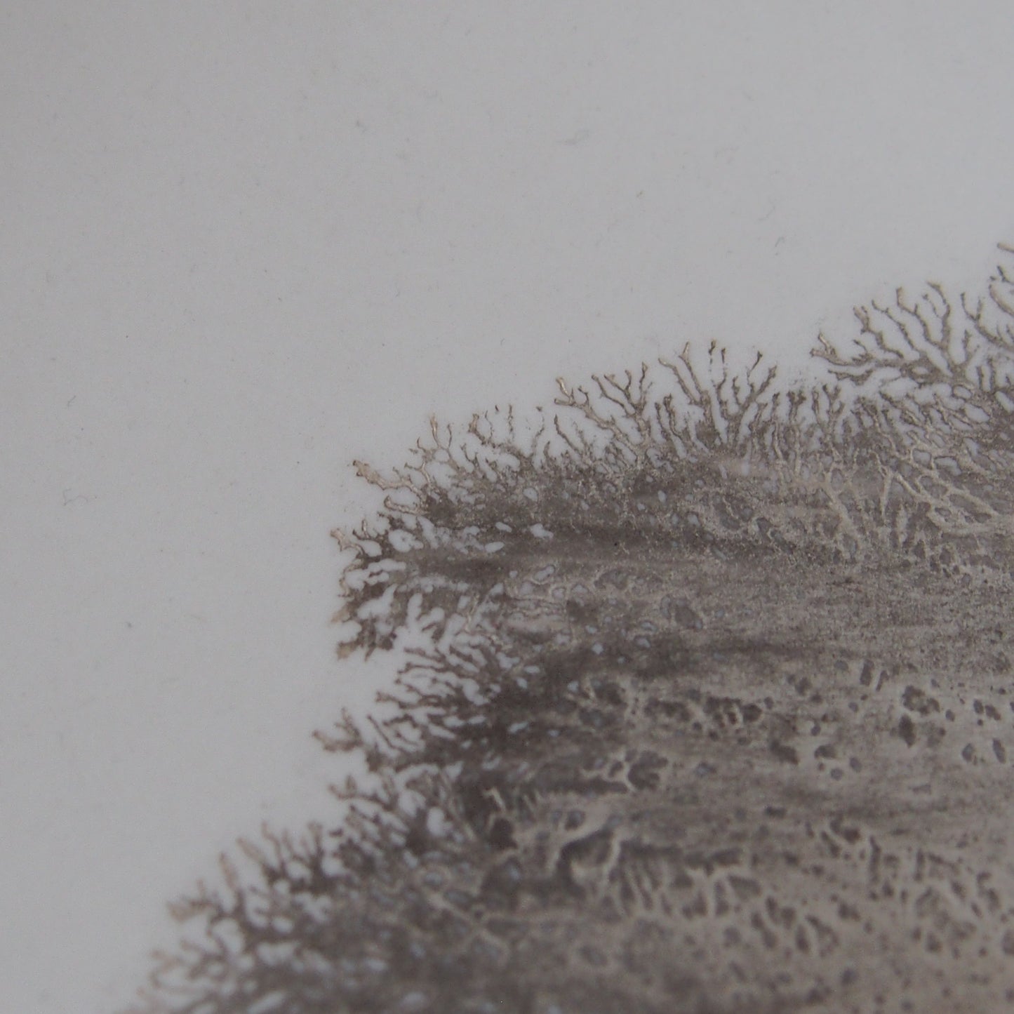 silver frost plate(M) 1