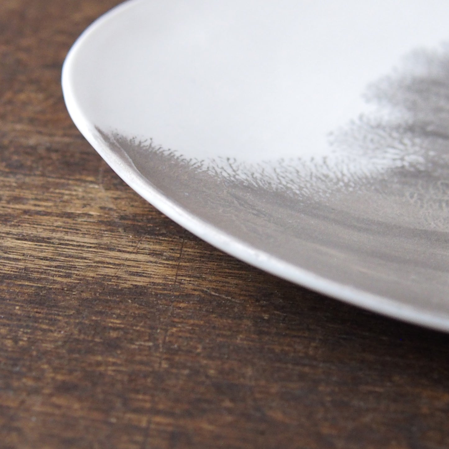 silver frost plate(L) 1