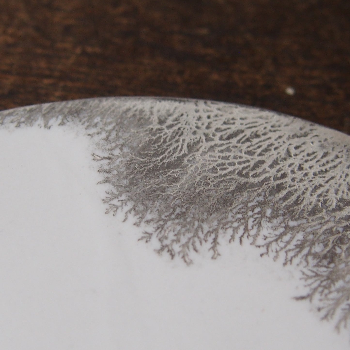 silver frost pond⓶ 1