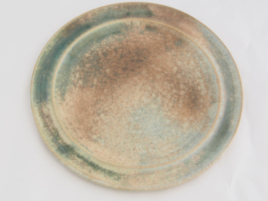 19-a プレート(19) | 中園晋作