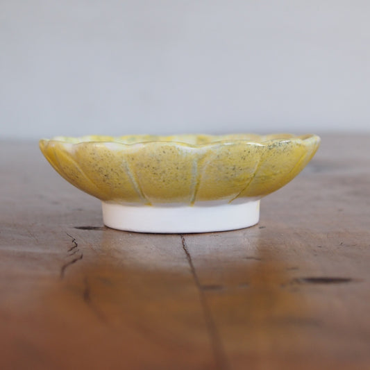 49-13 ガーベラ豆皿 | 梅本勇