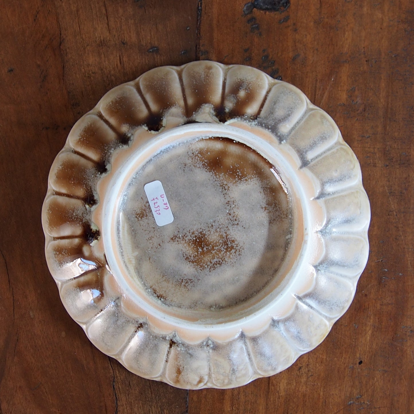 37-15 5寸ガーベラ皿 | 梅本勇