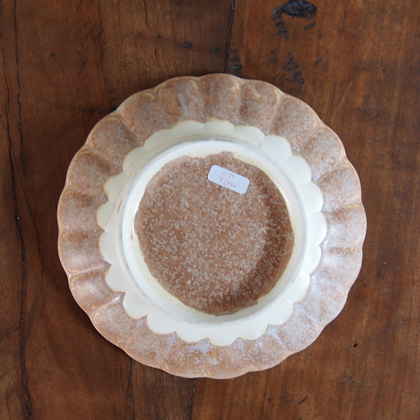 37-17 5寸ガーベラ皿 | 梅本勇 (コピー)