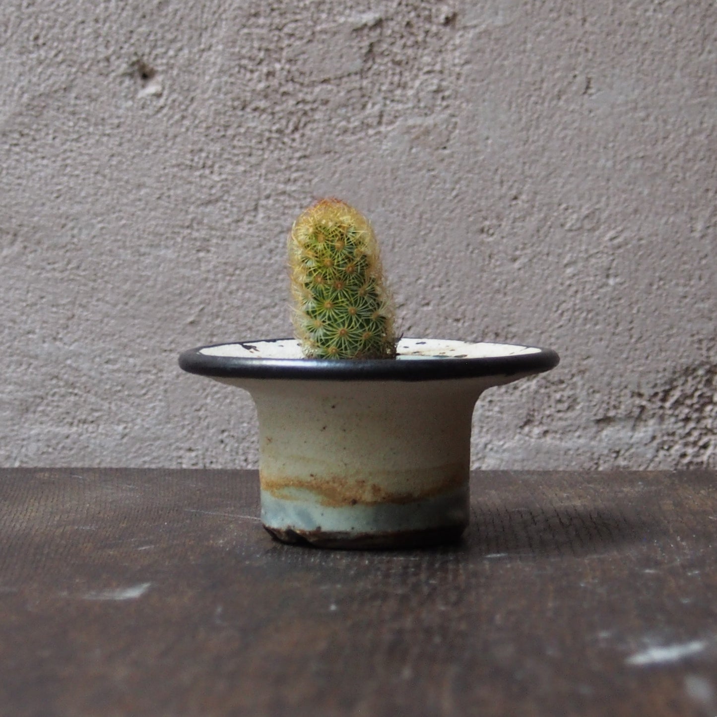 植物POT 水色×黒 XS(サボテン)