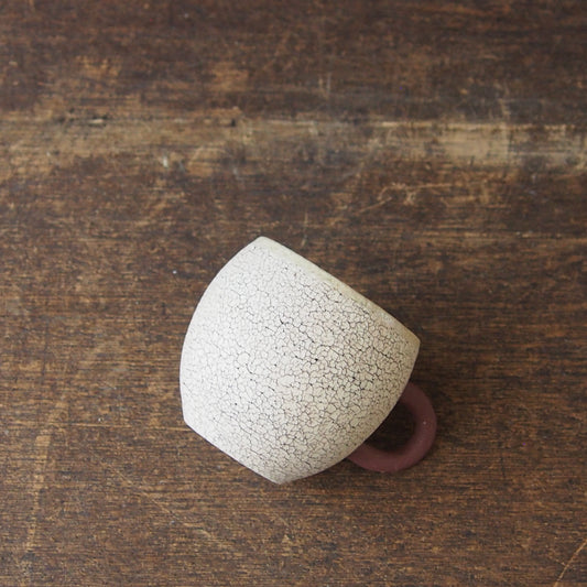 1 BRUCO M 茶 | つきの虫