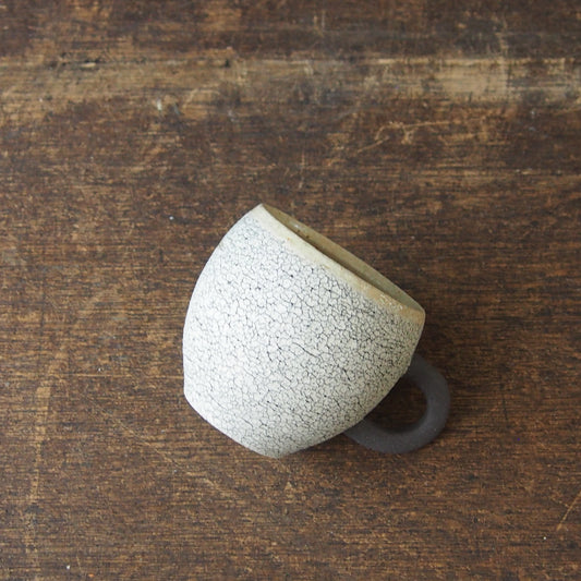 4 BRUCO S 黒 | つきの虫