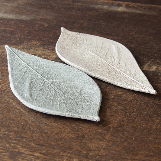 6 葉っぱ ほうのき黒 | つきの虫