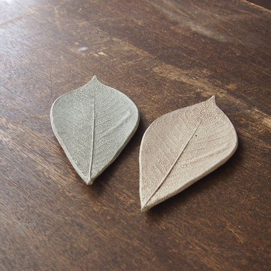 5 葉っぱ ほうのき 茶 | つきの虫