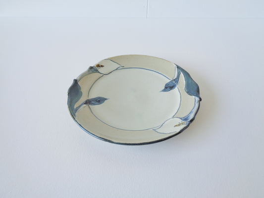 カラー紋 五寸皿