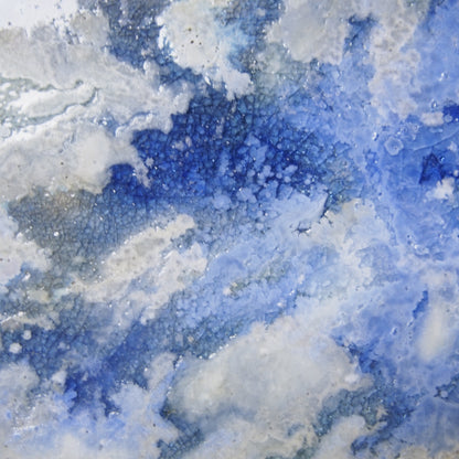 41 プレート8寸 | 小坂　梨絵