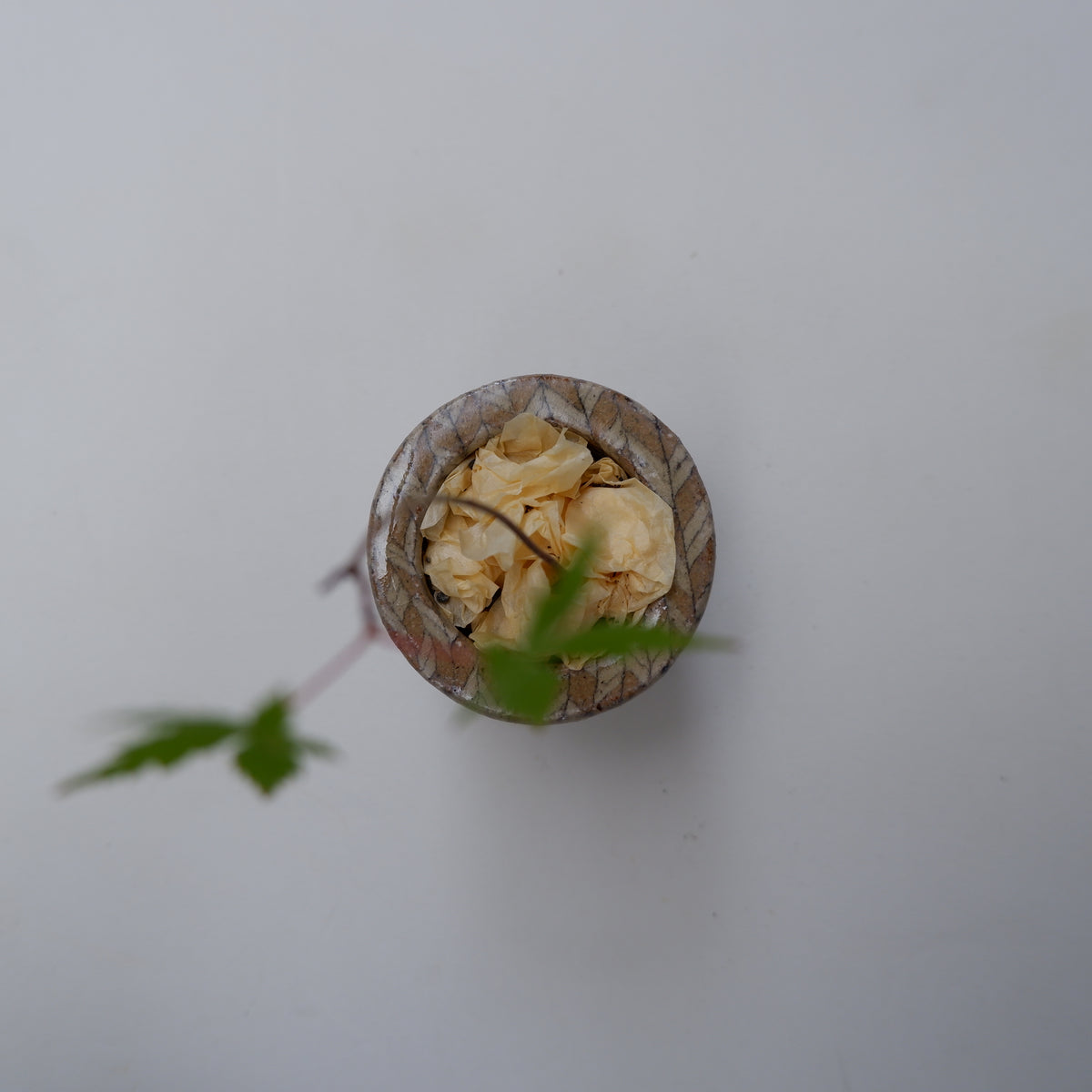 14-5　豆盆栽鉢 | 坂下花子