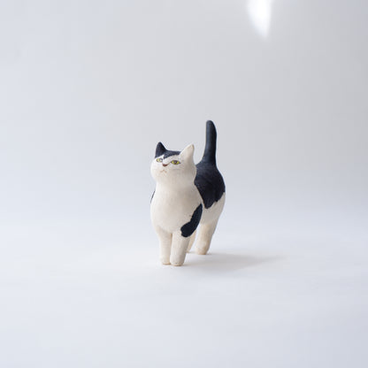 猫 16