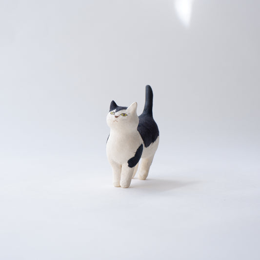 猫 16