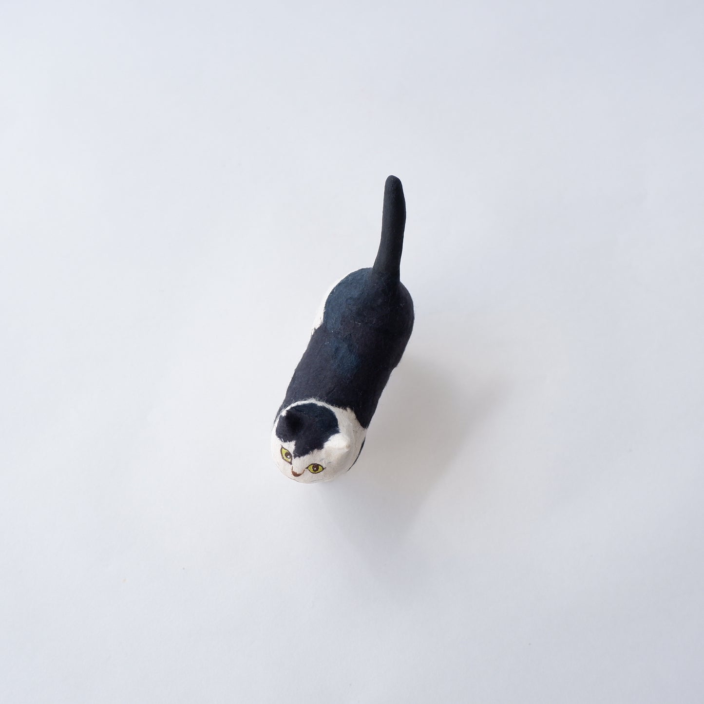 猫 16