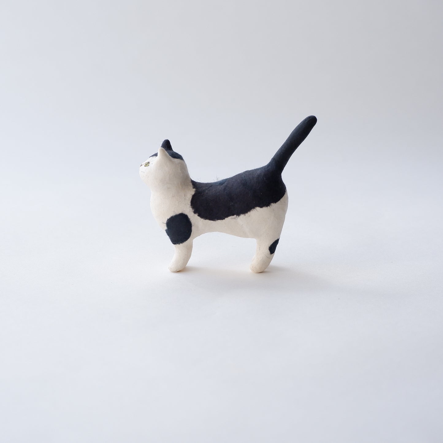 猫 16