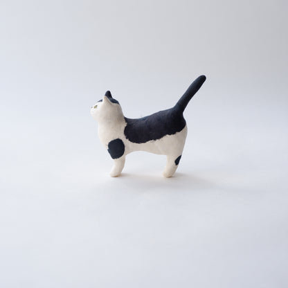 猫 16