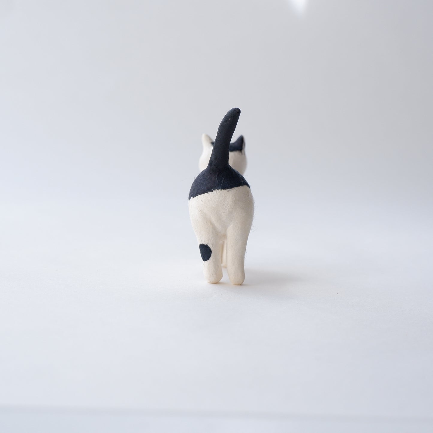 猫 16