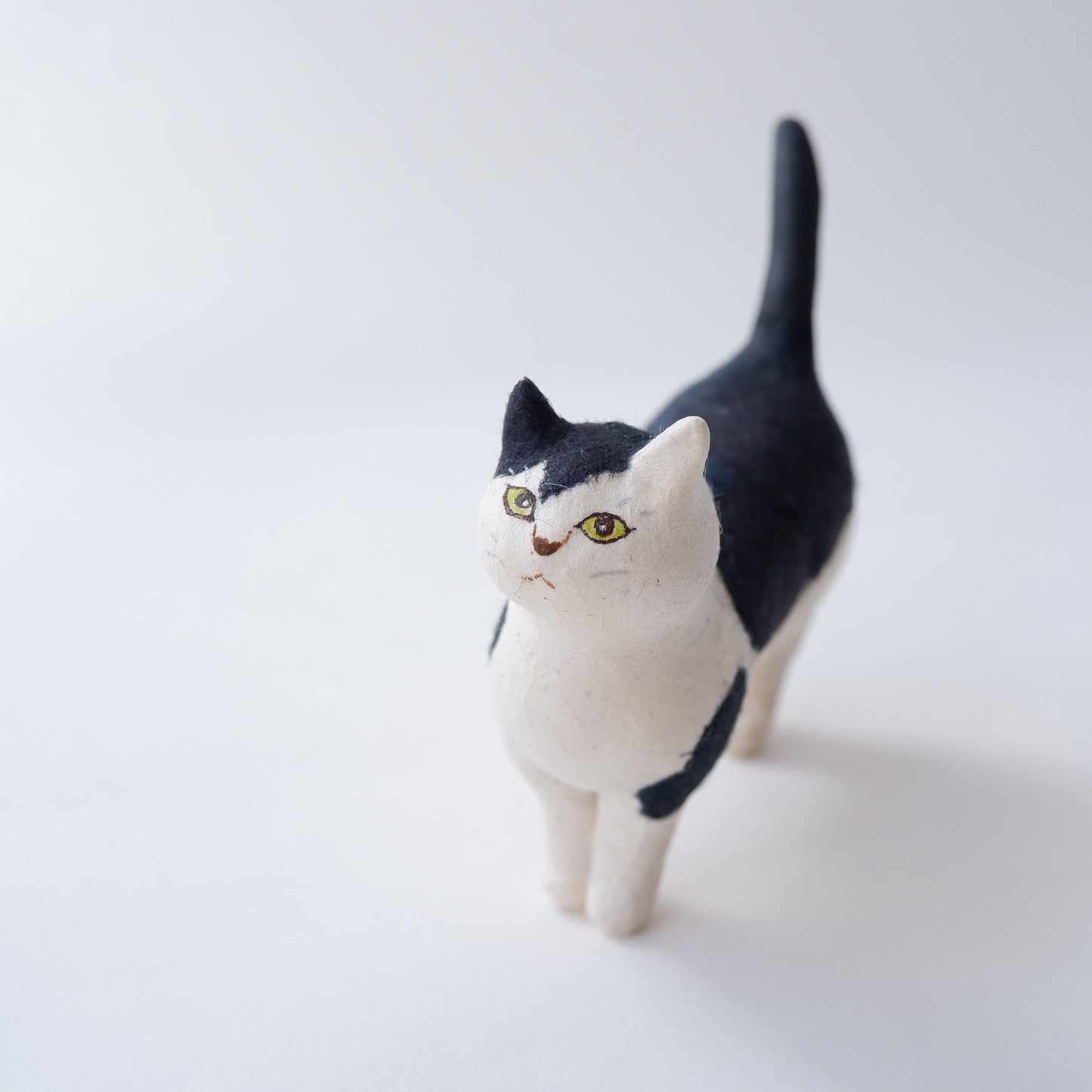 猫 16