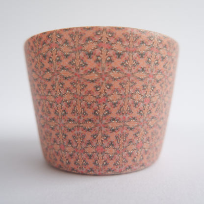 25　cup | 清水真由美