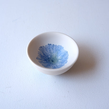 5　moca sakazuki | 片瀬有美子