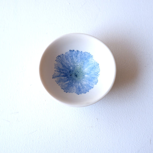 5　moca sakazuki | 片瀬有美子