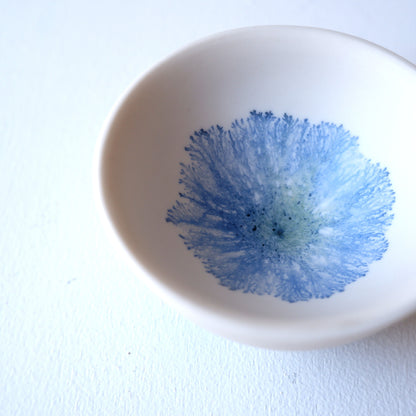 5　moca sakazuki | 片瀬有美子