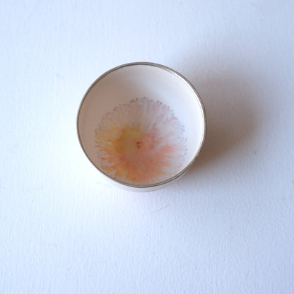 4-1　moca guinomi | 片瀬有美子