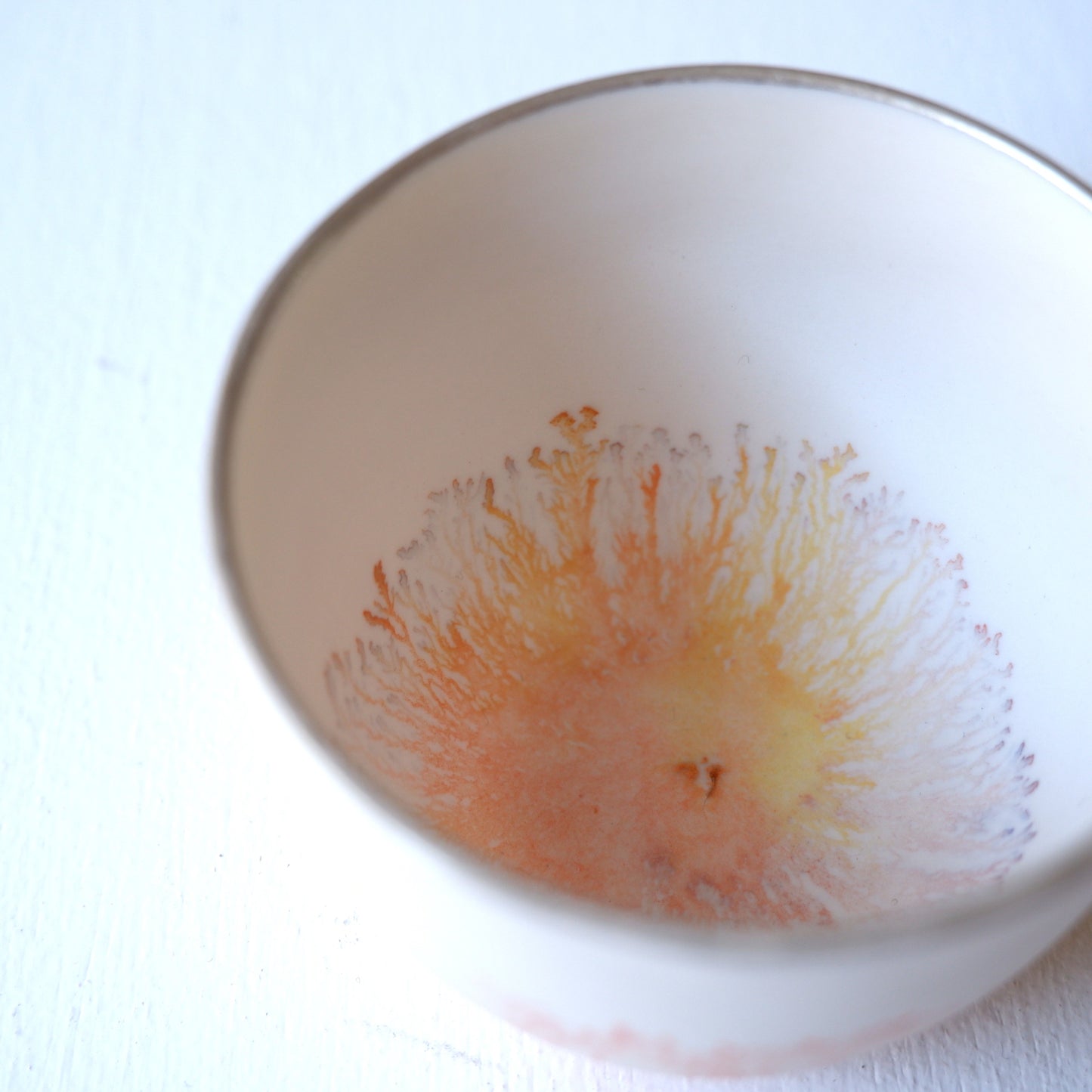 4-1　moca guinomi | 片瀬有美子