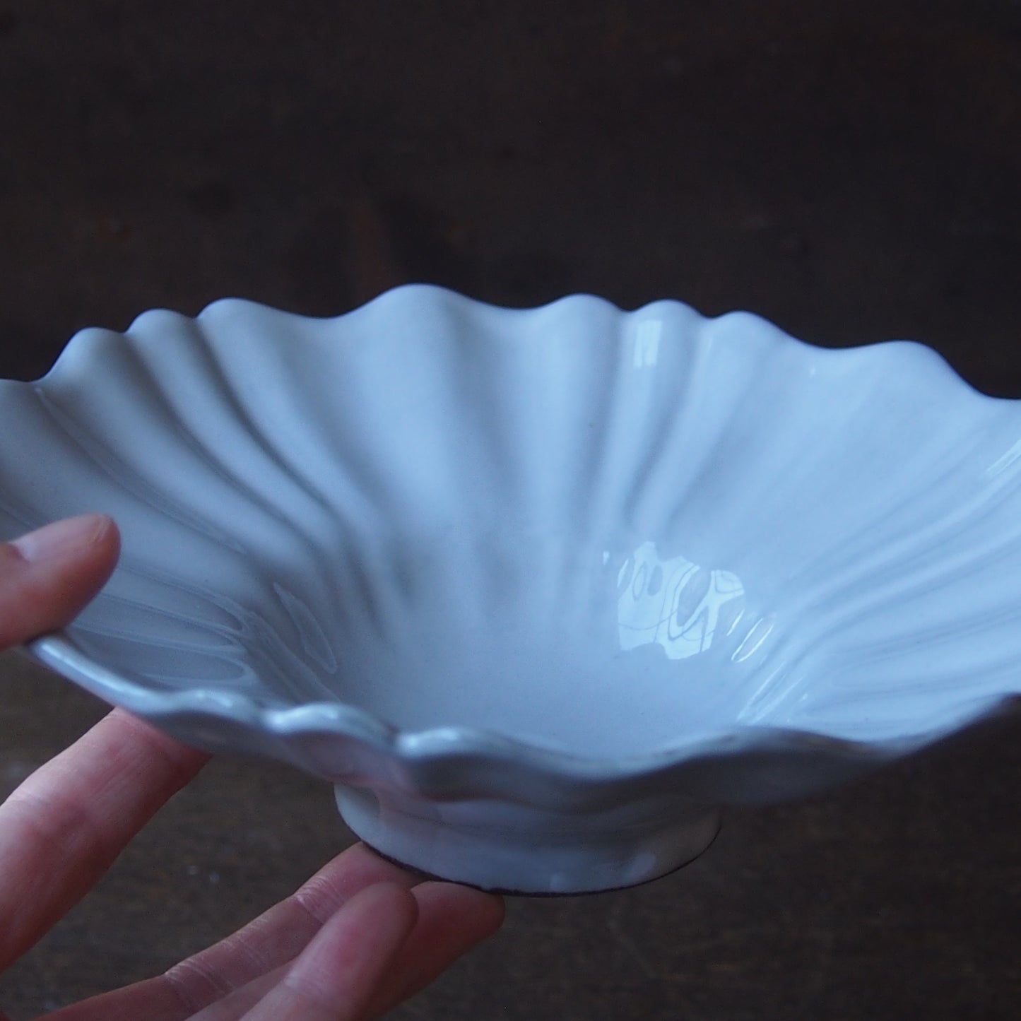 45　輪花カブト　