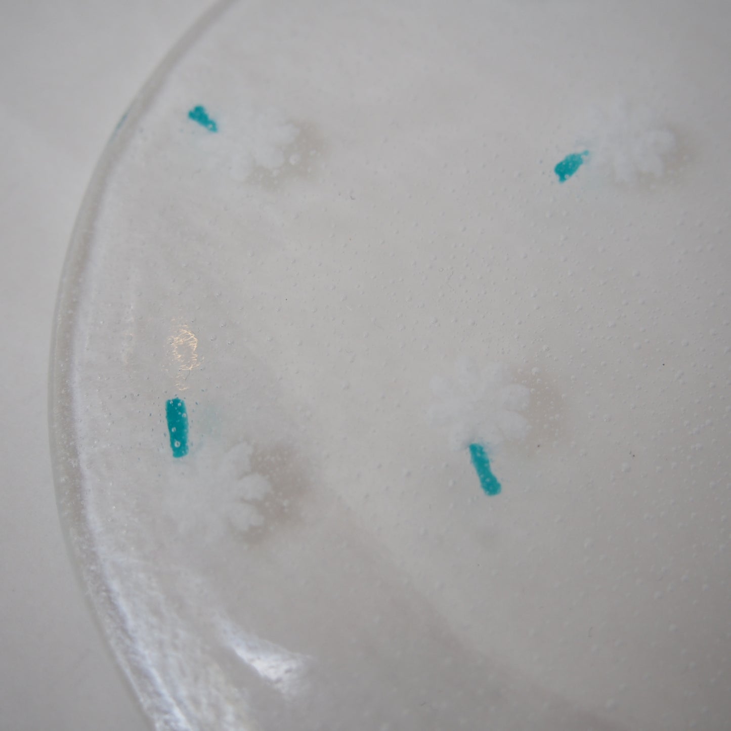 1　白い花皿 14cm | 石塚悠