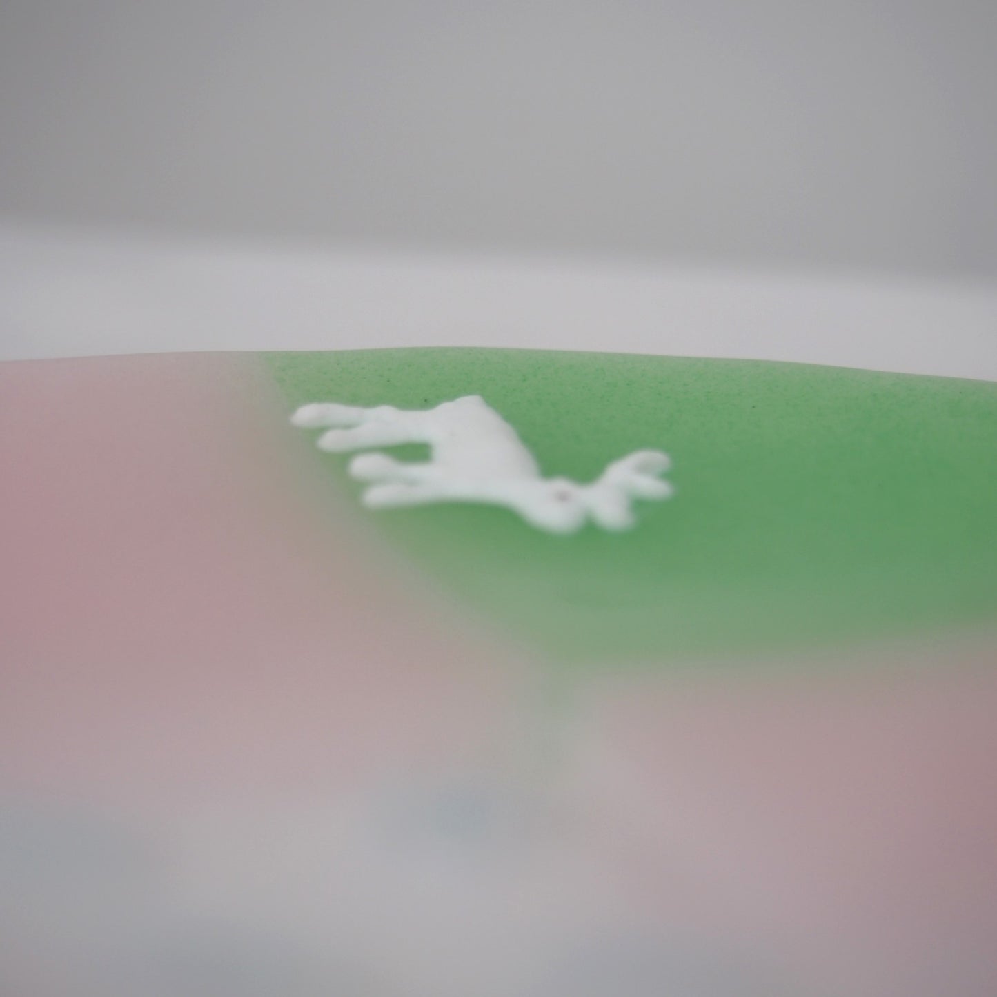 28　どうぶつ皿 | 石塚悠