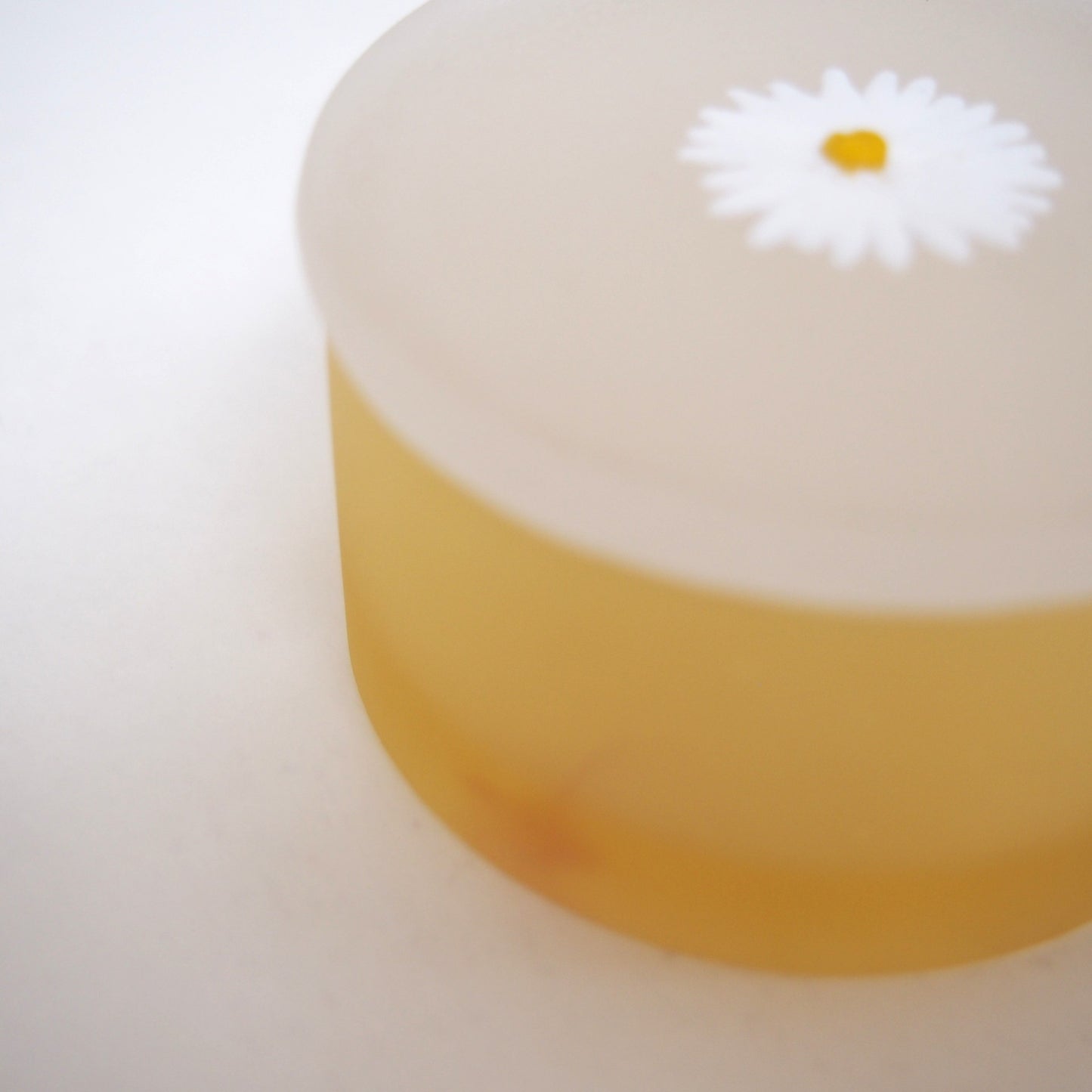 30　野の花小箱 | 石塚悠