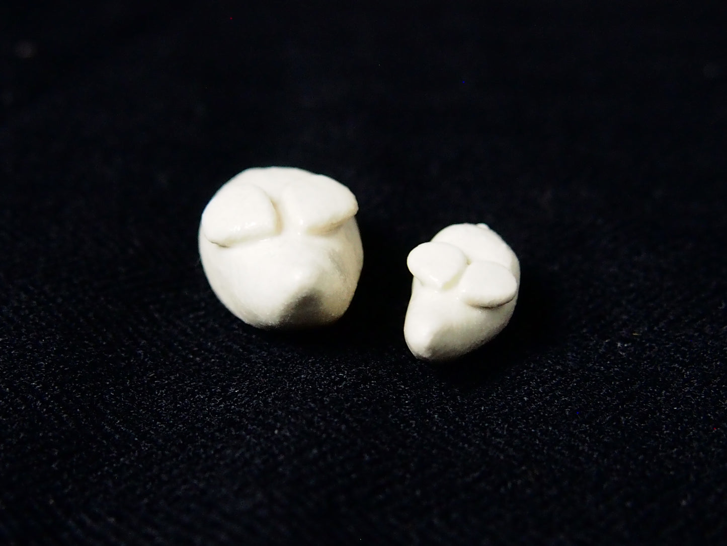 十二支（白）