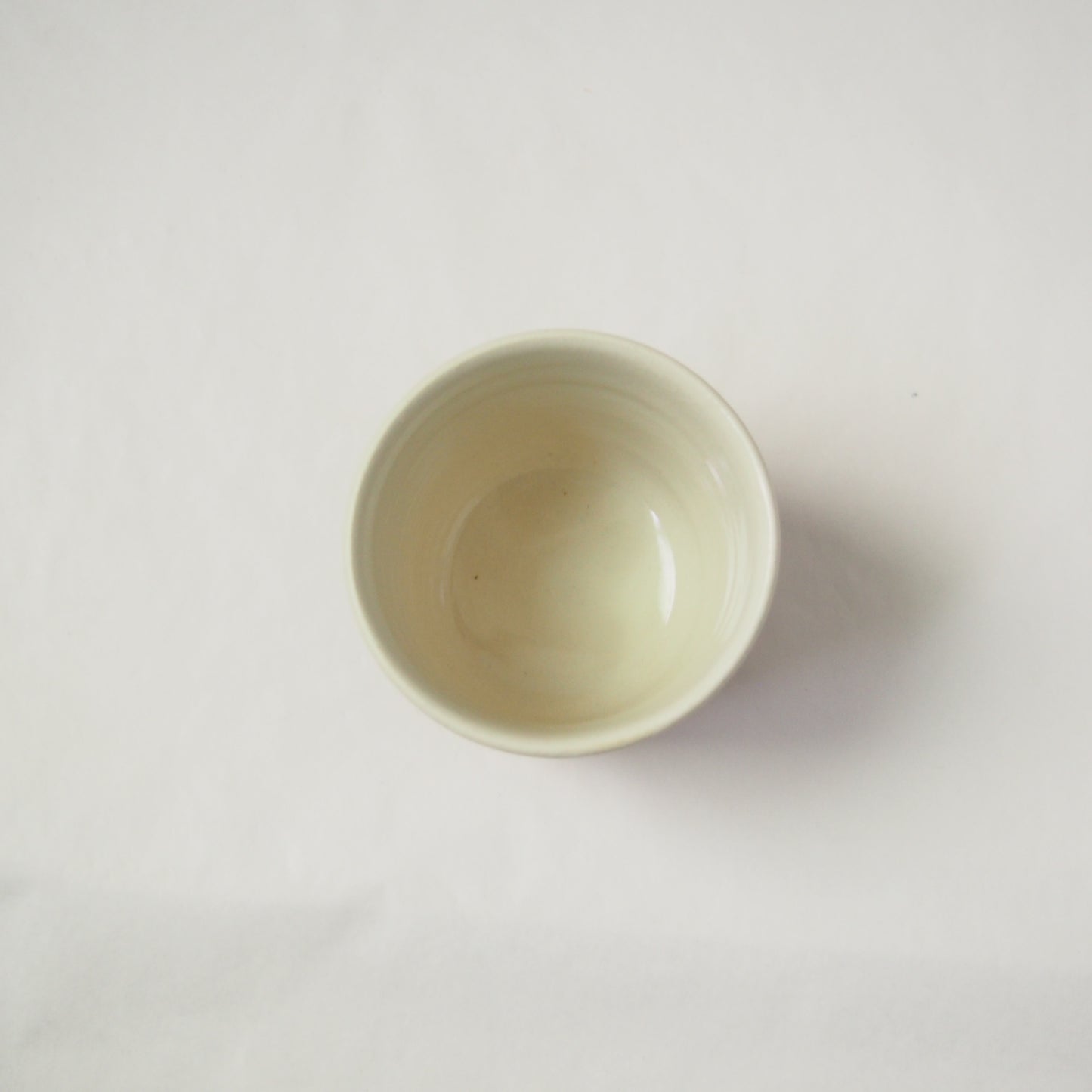 24　Tri-Color Cup | 井上耕佑